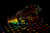 Jual Poster Colors Light Bulb Man Made Light Bulb APC