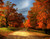 Jual Poster Dirt Road Fall Foliage Road Tree orange (Color) Man Made Road APC