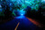 Jual Poster Evening Fall Fog Man Made Road Tree Man Made Road APC