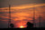Jual Poster Evening Power Line Sun Sunset orange (Color) Man Made Power Line APC