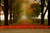 Jual Poster Fall Fence Fog Foliage Road Tree Man Made Road APC