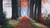 Jual Poster Fall Tree Man Made Path7 APC