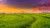 Jual Poster Field Grass Paddy Field Sunset Man Made Rice Terrace9 APC