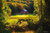 Jual Poster Forest House Landscape Buildings House APC