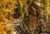 Jual Poster HDR Man Made Crystal Mill APC