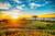 Jual Poster House Sunrise Buildings House APC Jual Poster House Sunrise Buildings House APC