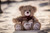 Jual Poster Love Teddy Bear Valentine's Day Winter Man Made Stuffed Animal APC