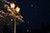 Jual Poster Man Made Lamp Post APC 004
