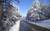 Jual Poster Man Made Road Snow Tree Winter Man Made Road APC