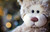 Jual Poster Man Made Stuffed Animal APC 007