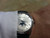 Jual Poster Man Made Watch APC 206