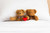 Jual Poster Stuffed Animal Teddy Bear Man Made Stuffed Animal0 APC
