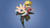 Poster Boruto Uzumaki Naruto Boruto APC006
