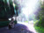 Poster Botan (Clannad) Kyou Fujibayashi Anime Clannad APC