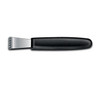 Victorinox 5.3503.1 Lemon Zester with Black Nylon Handle