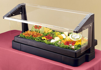 Cambro BBR480110 Tabletop Bar with Sneeze Guard Cambro BBR480110 Tabletop Bar with Sneeze Guard