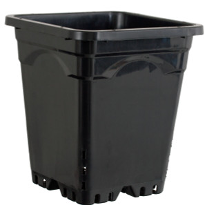 Active Aqua 9" x 9" Square Black Pot, 10" Tall, case of 24