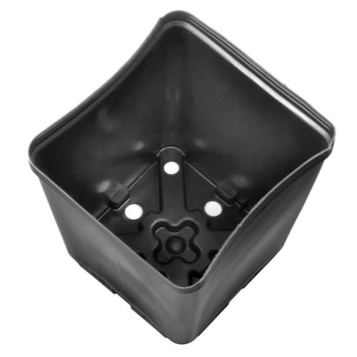 Gro Pro Square Plastic Pot 5.5 in x 5.5 in x 6 in (case of 200)
