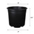 2 Gal Thermoformed Plastic Pot  - case of 50