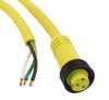 1300060246  Cable Assembly 25.0' (7.62m) 3POS Female To Wire