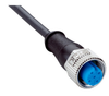 YM2A15-010UB5XLEAX Connection Cable, M12 Male, A-Coded Pur 5X0.34MM AWG22, 1M Unshielded, RoHS, Image shown is a representation only