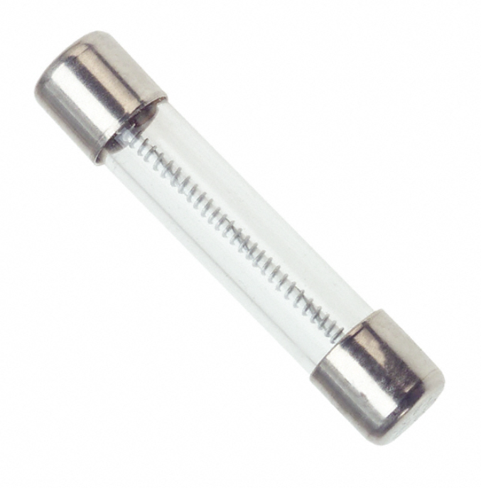 0313.031H Fuse Glass 31MA 250VAC 3AB 3AG