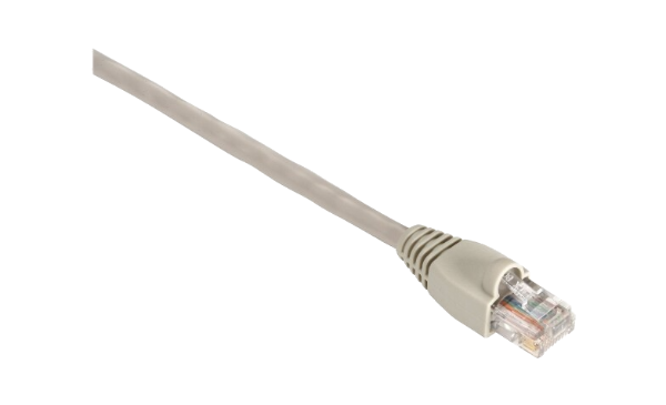 EVNSL85-0001  Ethernet Cable, Cat5e, Cat5e, 304.8 mm, 1 ft, RJ45 Plug to RJ45 Plug, Beige