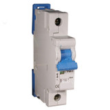 1CU2R Circuit Breaker Magnetic 2A 277 V AC DC DIN Rail