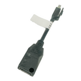CB803E-4000-10F Adapter Mini Display Port to Standard Display Port 91008582V3