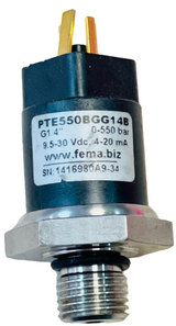 PTE550BGG14B  71101 Schonaic 9.5-30 Vdc, 4-20 Ma.