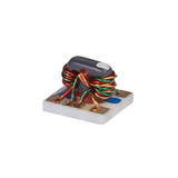 SBTC-2-20+ Power Divider Splitter 6SMD :RoHS, Cut Tape