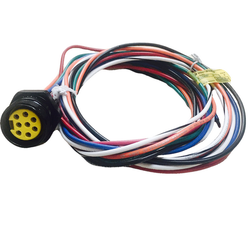 888NF8AE13F Allen Bradley 8 Pin Mini Female ST 18 AWG 3FT North