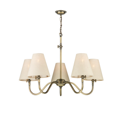 David Hunt Lighting David Hunt HIC0575 Hicks 5 Light Antique Brass Ceiling Pendant