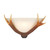 David Hunt Lighting David Hunt ANT07 Antler 1 Light Rustic Cloured Wall Light 