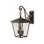 Elstead Lighting Elstead HK-TRELLIS2-L Trellis Bronze Large Wall Lantern
