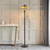 Interiors 1900 64041 Dark Star Floor Lamp