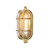 David Hunt Lighting David Hunt ADM5240 Admiral 1 Light Brass Outdoor wall Light