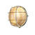 David Hunt Lighting David Hunt ADM5040 Admiral 1 Light Brass Outdoor wall Light