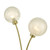 Dar Lighting Avari Satin Brass 2 Light Table Lamp With Clear Frosted Glass