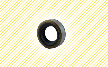 Maxon Oil Seal for Pump, 3/4