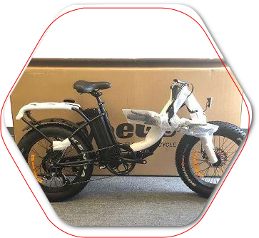 veego electric bicycle