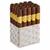 Rocky Patel Seed to Smoke Classic - Pack of 20