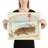 Sturgeon, from Fish from American Waters series (N39) for Allen & Ginter Cigarettes - Allen & Ginter - 1889 - Paper Poster Museum quality 7742460