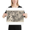 Air (The Four Elements) - Wenceslaus Hollar - 1647 - Photo Paper Poster Museum quality 7742125
