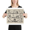 Blackwork Design for Goldsmithwork with a Bee-Keeper, a Farmer and a Boar - Mathais Beitler - 1612 - Paper Poster Museum quality 7748133