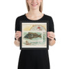 Sea Bass, from Fish from American Waters series (N39) for Allen & Ginter Cigarettes - Allen & Ginter - 1889 - Photo Paper Framed Poster Museum quality 7742408