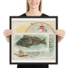 Sea Bass, from Fish from American Waters series (N39) for Allen & Ginter Cigarettes - Allen & Ginter - 1889 - Photo Paper Framed Poster Museum quality 7742408