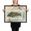 Sea Bass, from Fish from American Waters series (N39) for Allen & Ginter Cigarettes - Allen & Ginter - 1889 - Photo Paper Framed Poster Museum quality 7742408