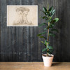 Drawing of a Fountain - Anonymous, French, 16th century - 16th century - Photo Paper Framed Poster Museum quality 7743751