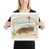 Sturgeon, from Fish from American Waters series (N39) for Allen & Ginter Cigarettes - Allen & Ginter - 1889 - Photo Paper Poster Museum quality 7742482